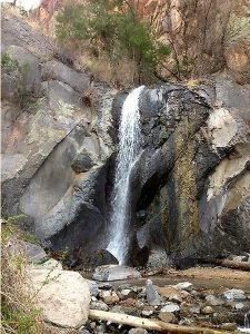 Flowing spring water at McCauley Hot Springs