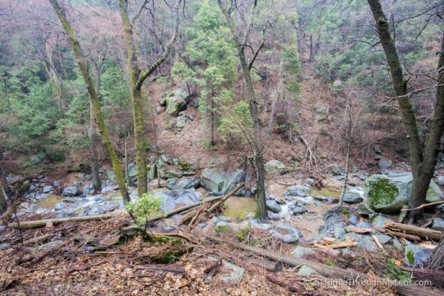 Shaded hiking path along Heart Rock Trail with lush trees