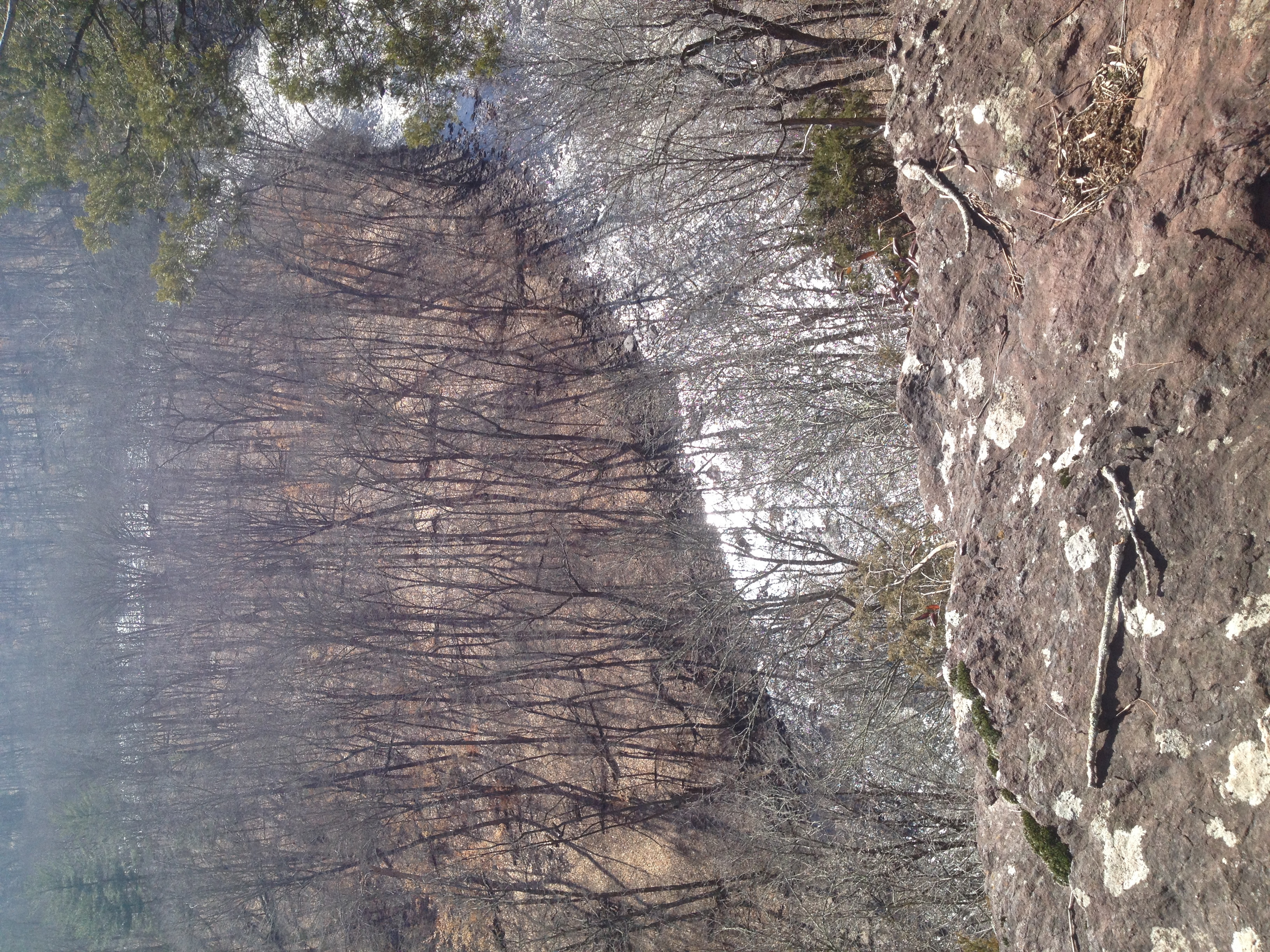 Calm waters of Tohickon Creek at High Rocks Park reflecting the sky