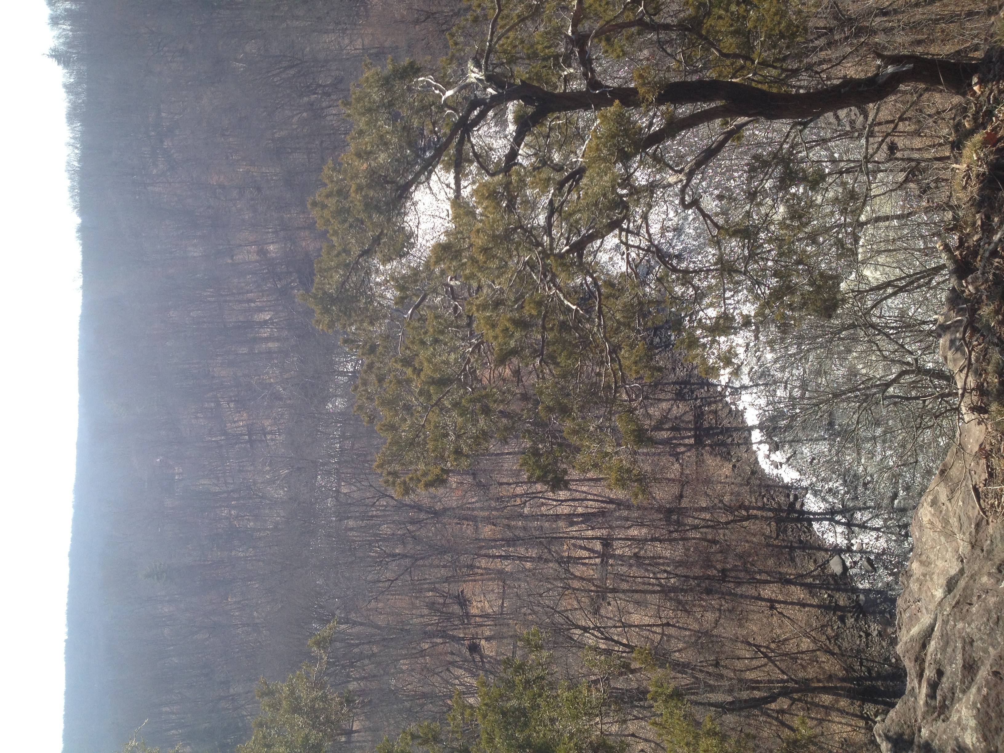 Panoramic view of High Rocks Park overlooking Tohickon Creek