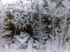 Close up of intricate ice crystals forming dendritic patterns on a windowpane, highlighting the crystalline nature of ice.