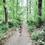 alt text: children playing in shallow stream at double rock park