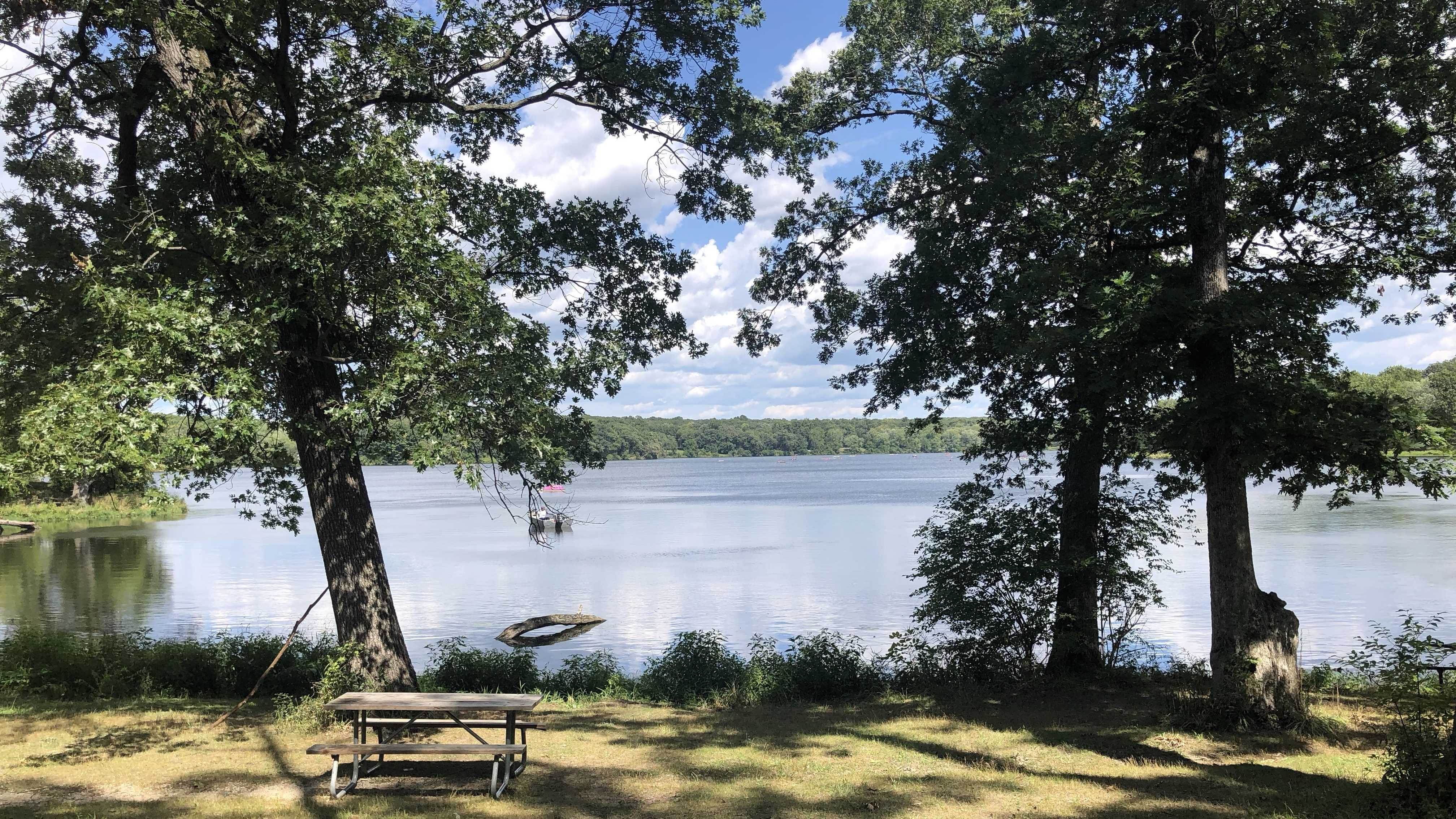 Kayaks and paddleboards on Pierce Lake at Rock Cut State Park, Illinois