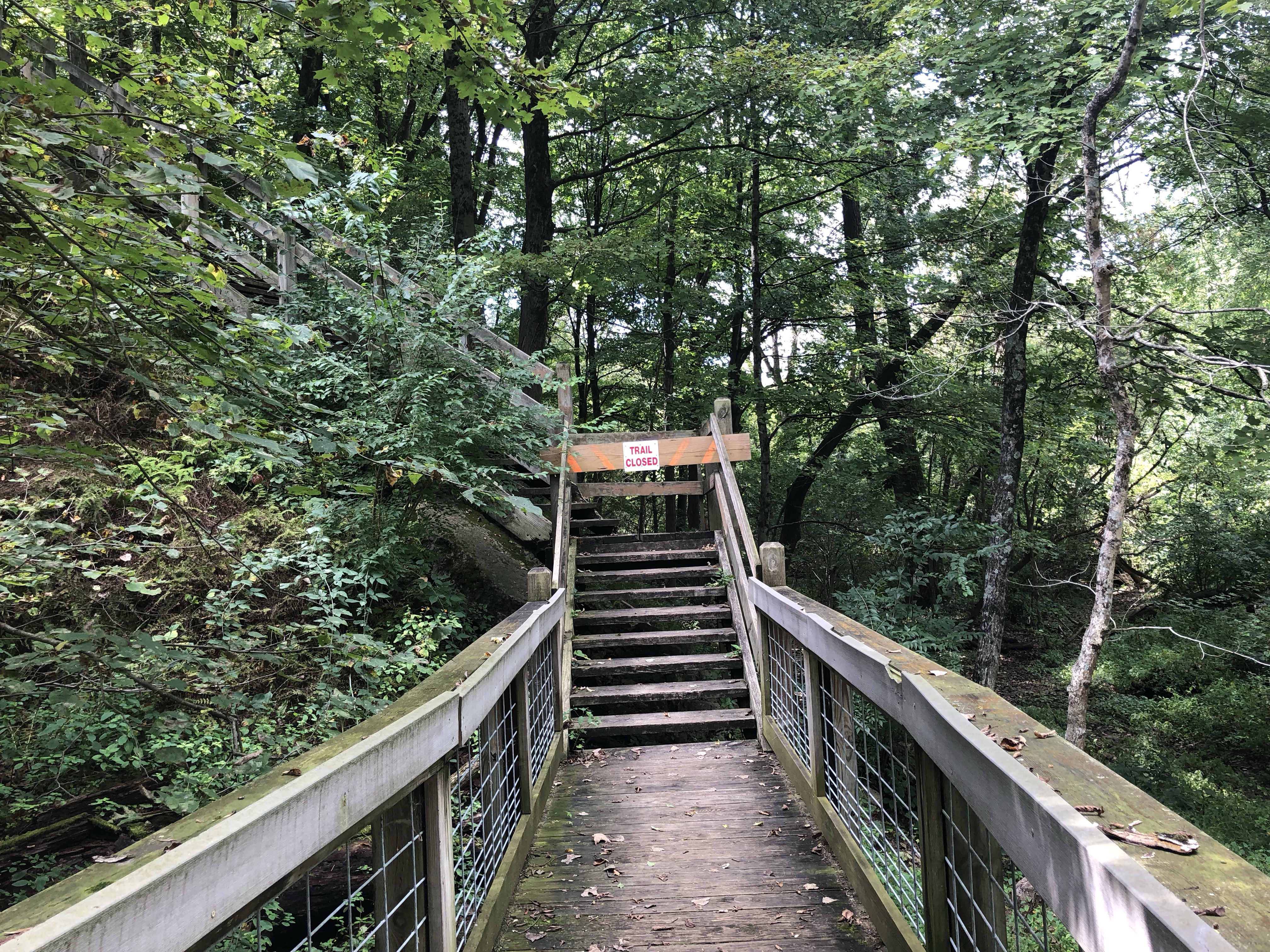 Hikers on a narrow dirt trail surrounded by trees in Rock Cut State Park, Illinois