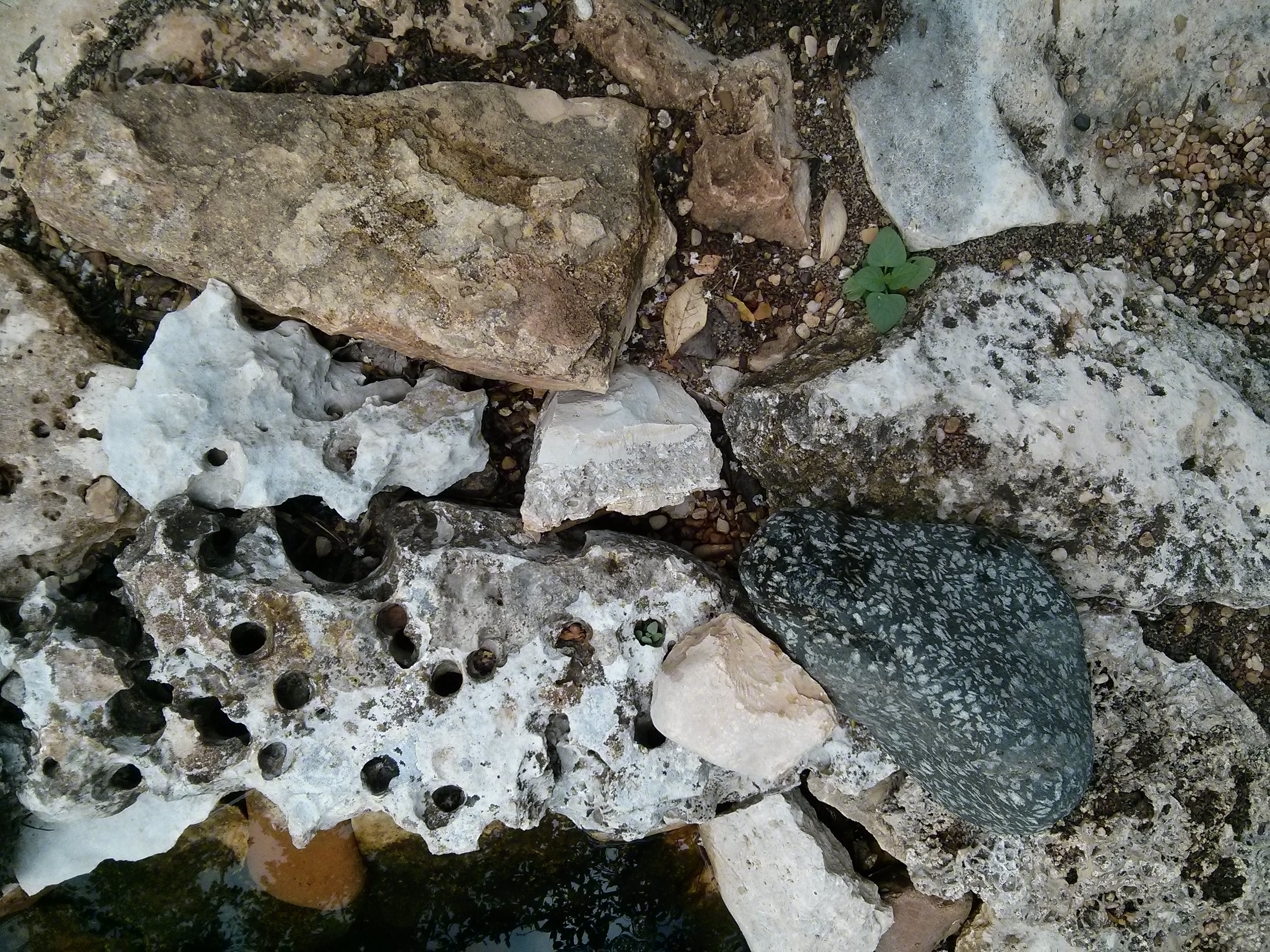 Various sizes and textures of rocks used in a garden bed, demonstrating versatility in landscape rock design.