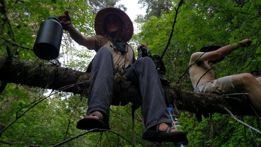 Hikers taking a break on a log in the damp gulch.