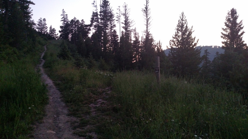 The poorly marked &quot;Climbing Access&quot; sign for the Frog Rock spur trail.