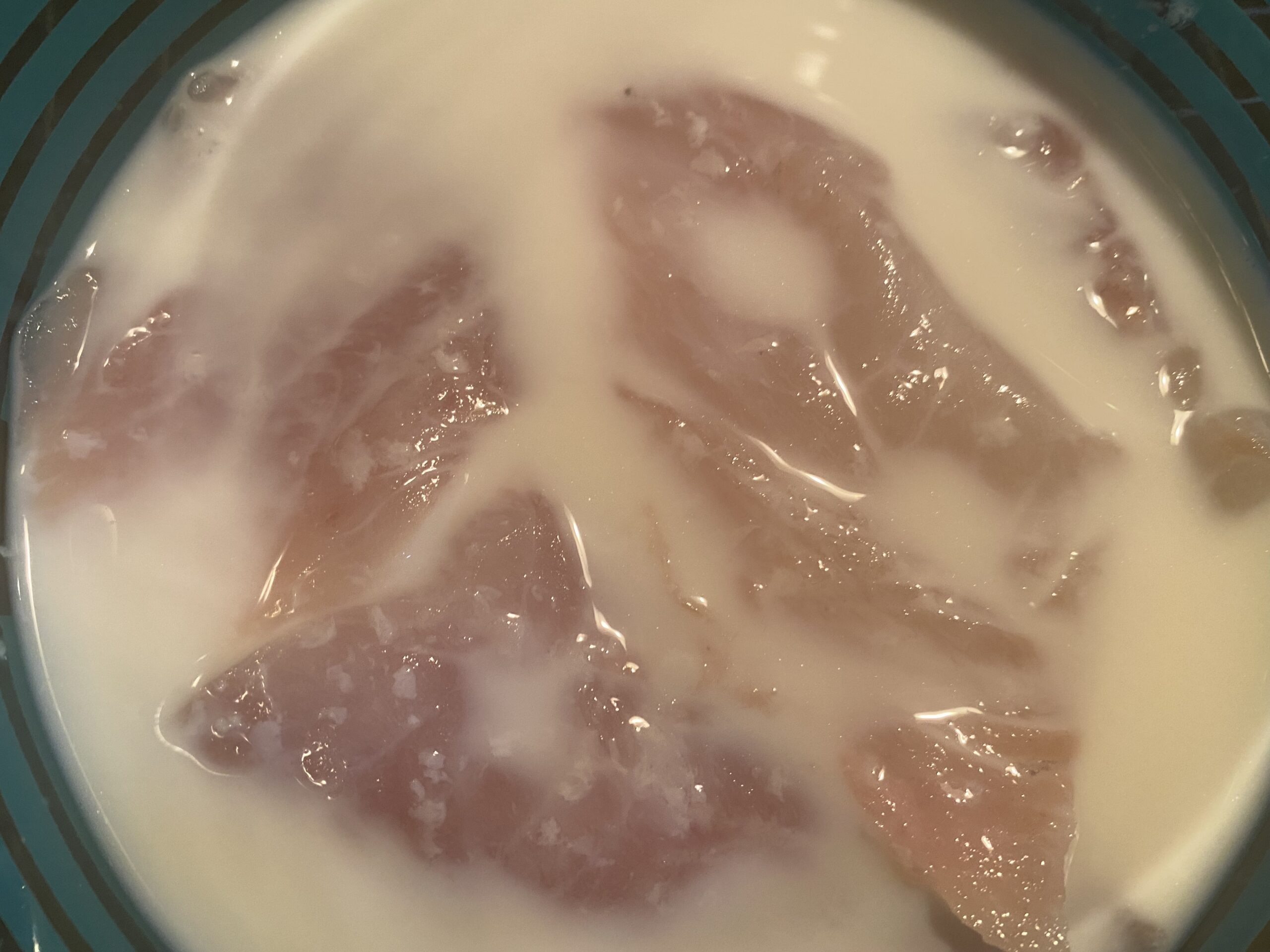 Rock fish fillets soaking in milk and lemon juice before breading.