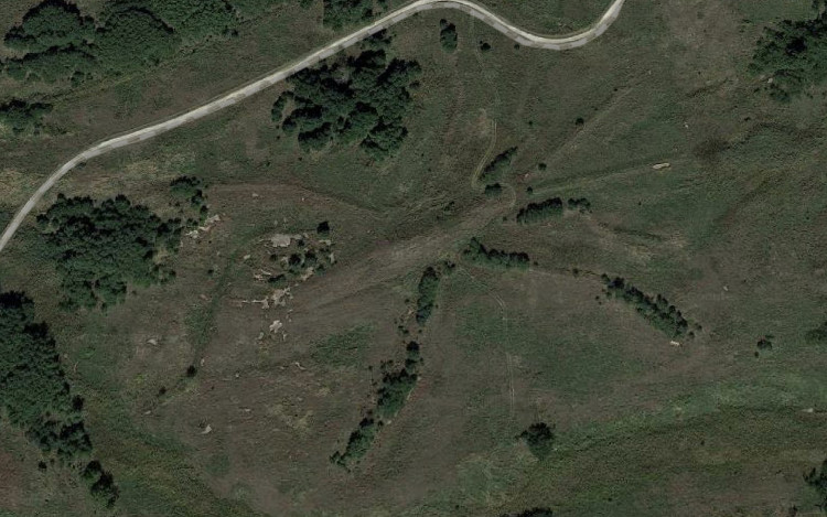 Aerial view of the Water Strider Effigy at Buffalo Rock State Park