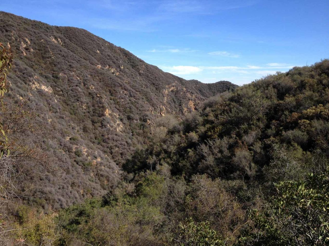 View looking back down Temescal Canyon from the ascending trail