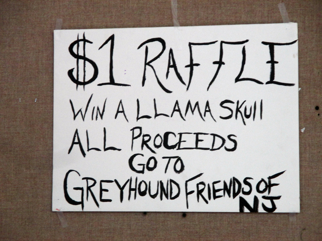 A DIY sign advertising a llama skull raffle to benefit greyhound rescue.