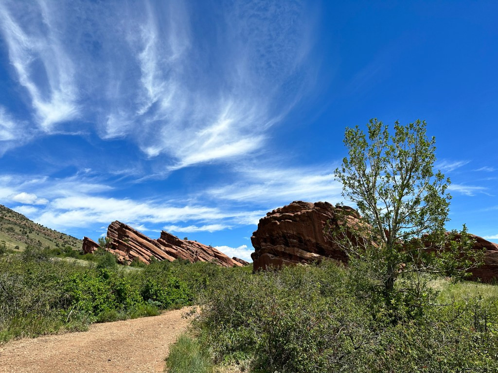 Close-up of the Trading Post Trail surface, showing the well-maintained path and the surrounding red rock environment.