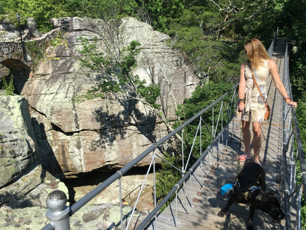 Dog enjoying the sights at Rock City Gardens