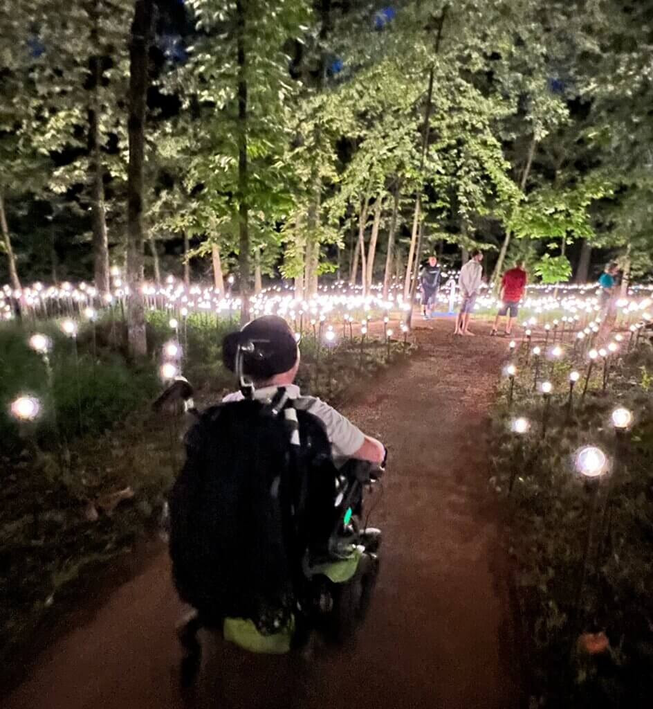 Interactive light installation at the Listening Forest