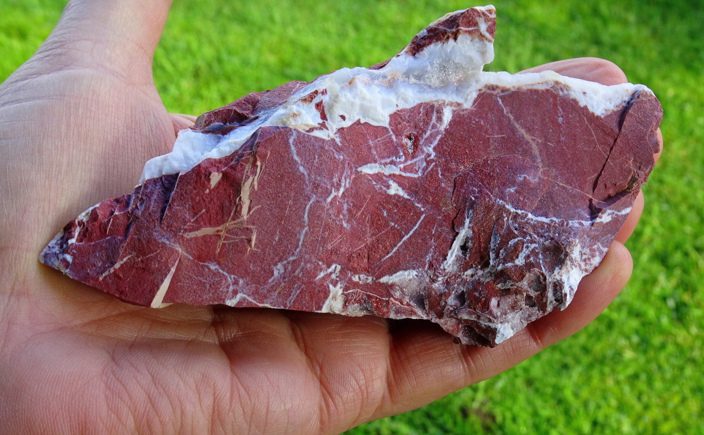 Piece of Coromandel Peninsula jasper given to me by Jack Geerlings, showcasing its earthy tones and natural texture.