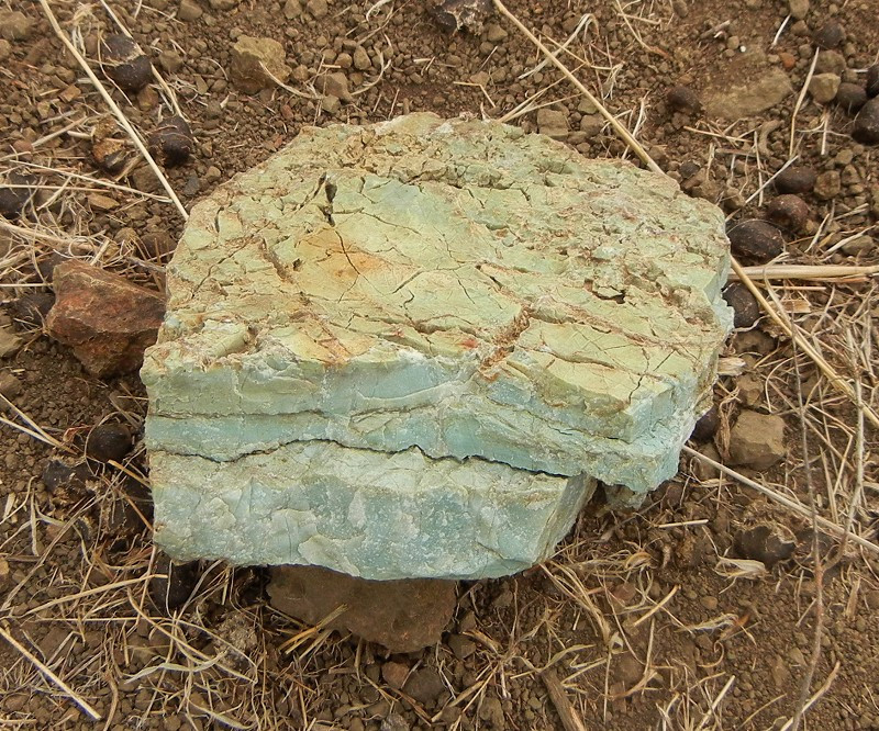 Fragment of green chert rock displaying clean color and etched layers