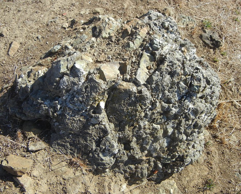 Weathered and fragmented chert knocker in Knowland Park, Oakland