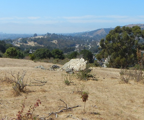 Prominent white chert knocker with scenic views in Knowland Park