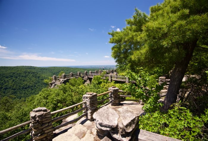 Campsites nestled among trees at Coopers Rock State Forest