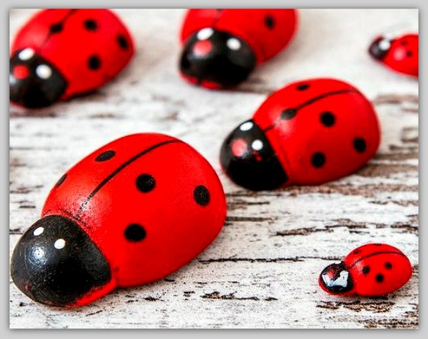 Simple painted rock ideas: ladybugs, flowers and inspirational words.