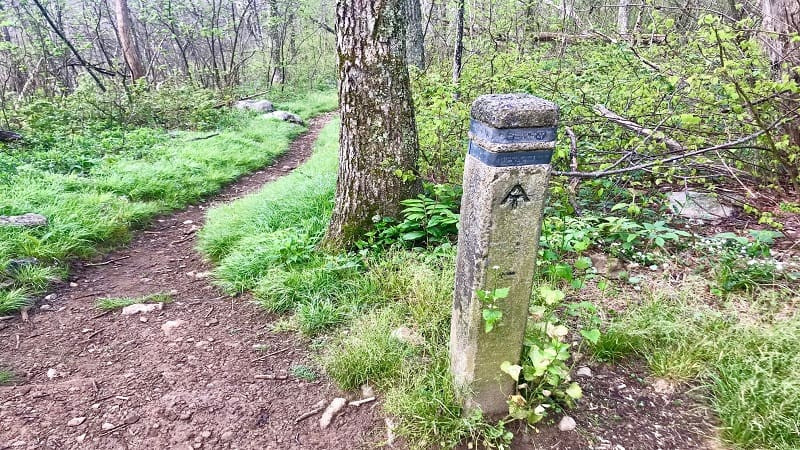 Appalachian Trail Marker Near Marys Rock Summit in Shenandoah