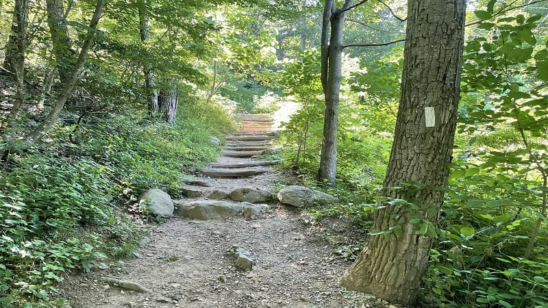 Early Wooden Steps on Appalachian Trail to Marys Rock from Panorama