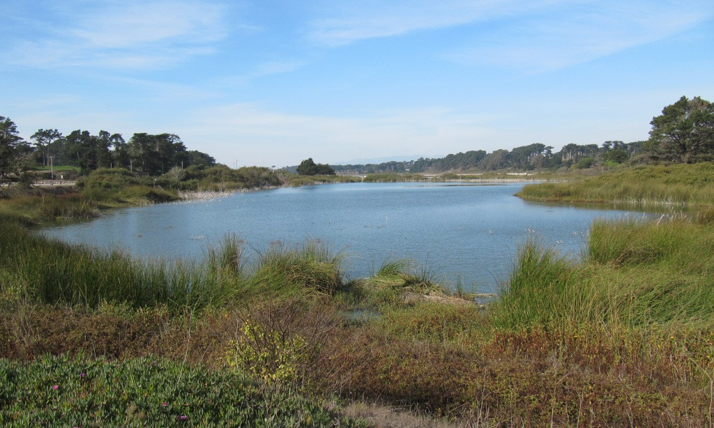 View of Lake Merced from its southern end, a peaceful urban park