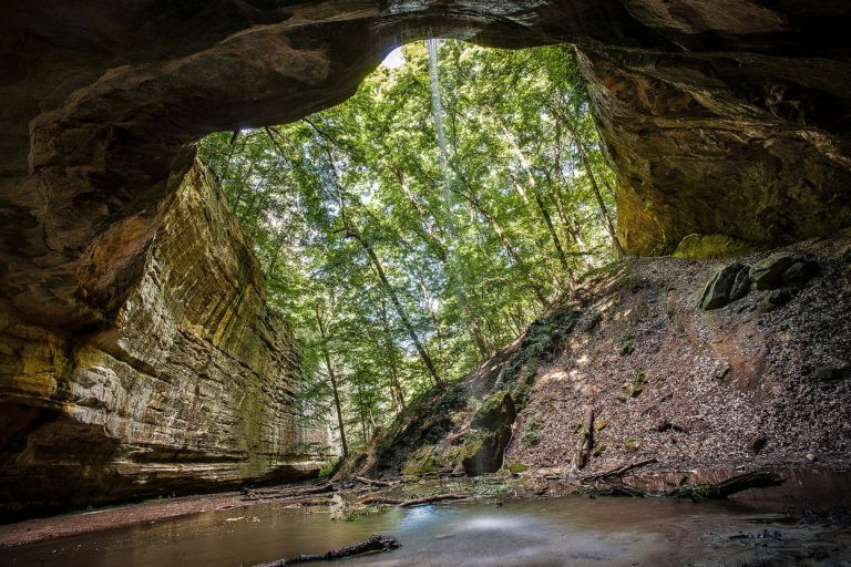 Ottawa Canyon featured image for Starved Rock Campground