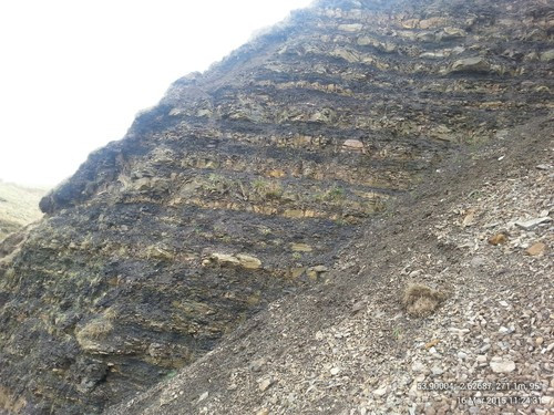 Interbedded dark mudstone and dolomitic and calcareous mudstone/siltstone of the Upper Bowland Shale Formation