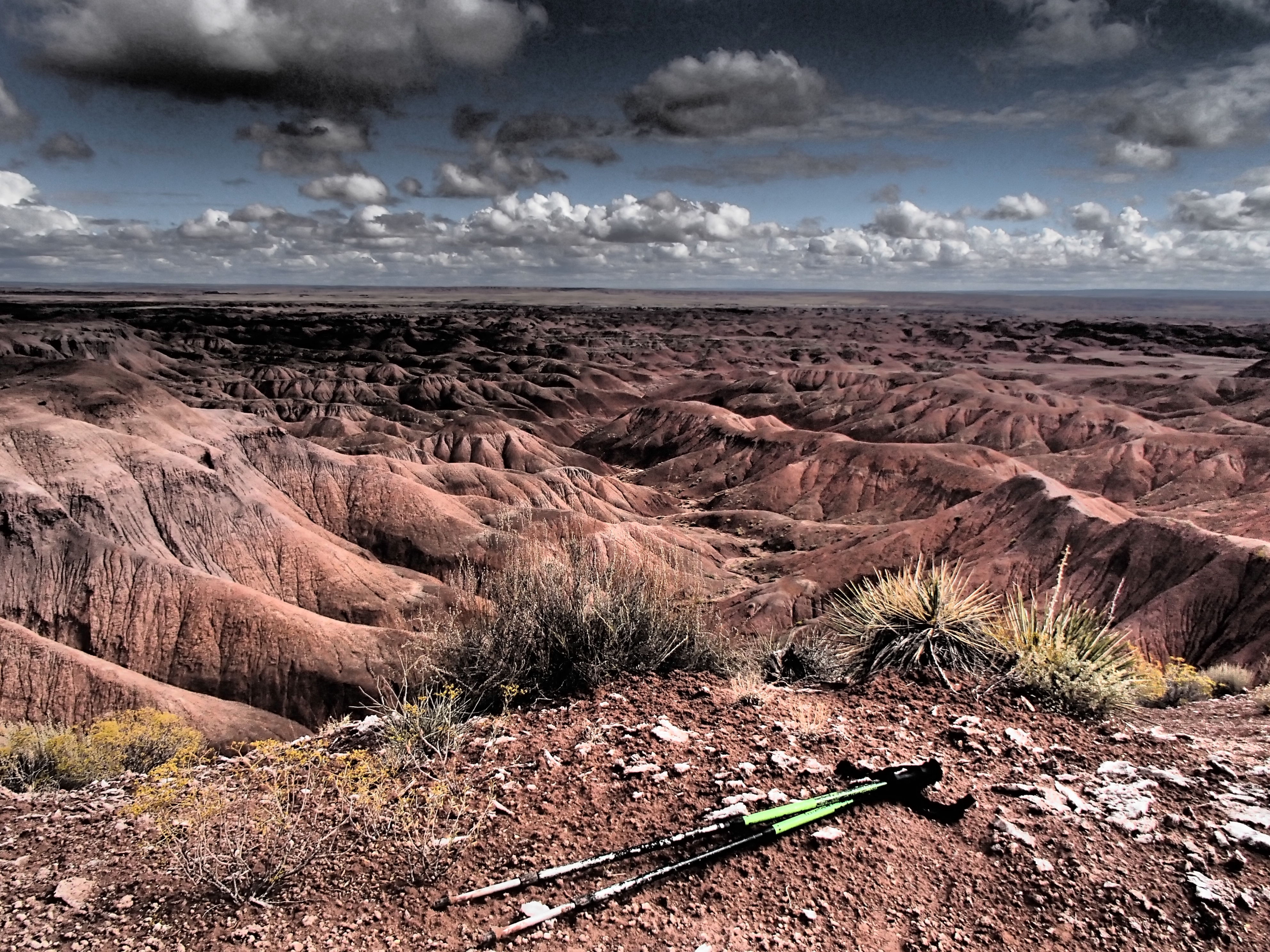 Pilot Rock: Discovering the Unsung Highpoint of Petrified Forest National Park