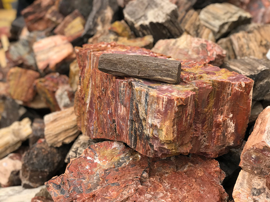 Stacks of petrified wood logs of varying sizes and colors, piled high outside the Rainbow Rock Shop