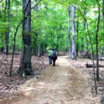 Discover Nature and Space at Rock Creek Nature Center in DC