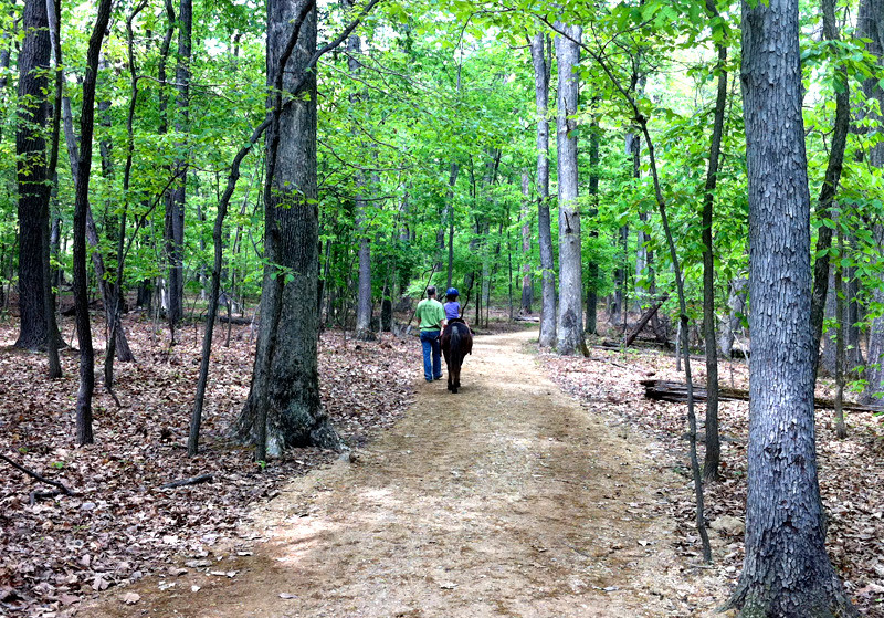 Discover Nature and Space at Rock Creek Nature Center in DC