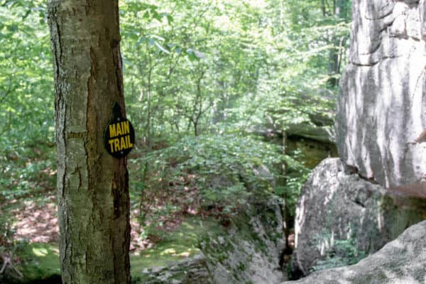 Main Trail winding through Rock City Park in Olean, New York