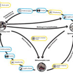 Decoding the Rock Cycle: Earth’s Ever-Changing Crust