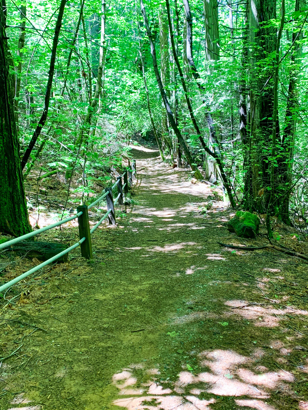 Shady Trail at Rock Creek Nature Study Area