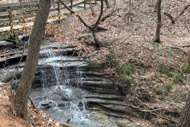 Spring at Sac Canyon in Starved Rock State Park, a short walk from Starved Rock Lodge, offering views of bluffs, eagles, and wildflowers.