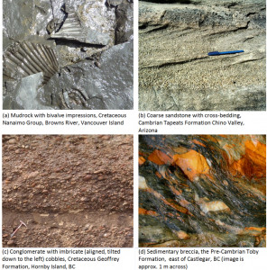 Microscopic images of quartz arenite, arkose, and lithic wacke sandstones