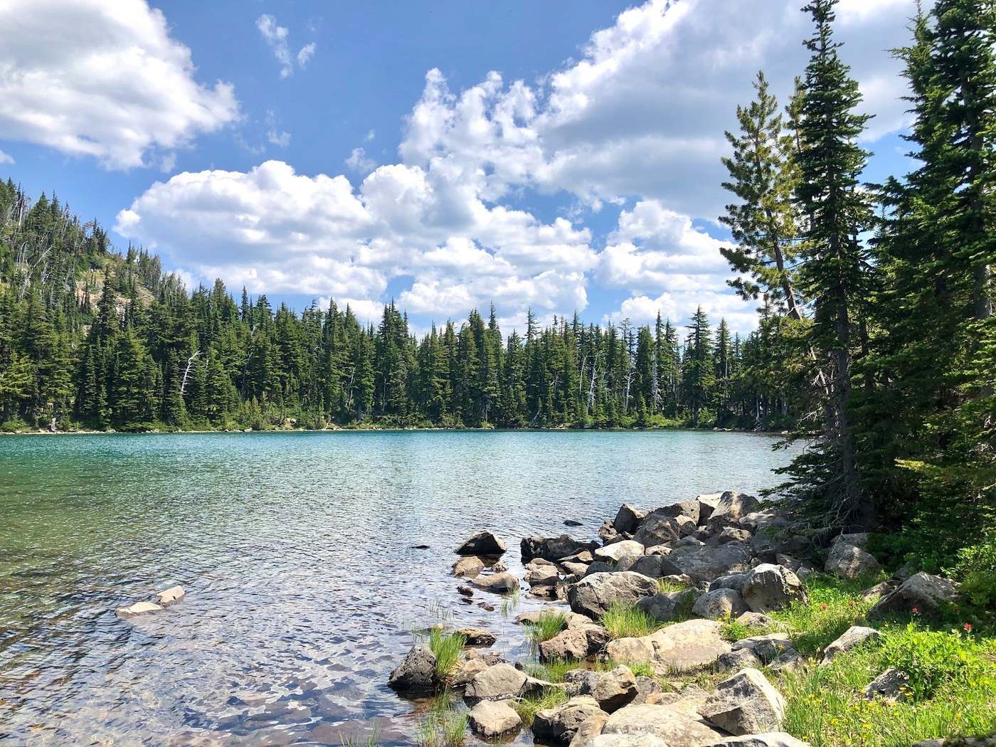 Shoe Lake trail in Goat Rocks Wilderness presenting a serene alpine lake surrounded by forests and peaks