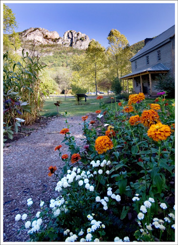 The historic Sites Homestead nestled at the base of Seneca Rocks