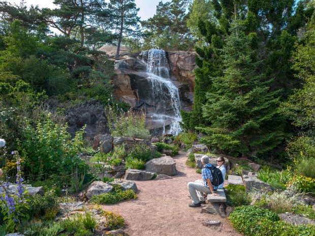 Rock garden with a waterfall backdrop