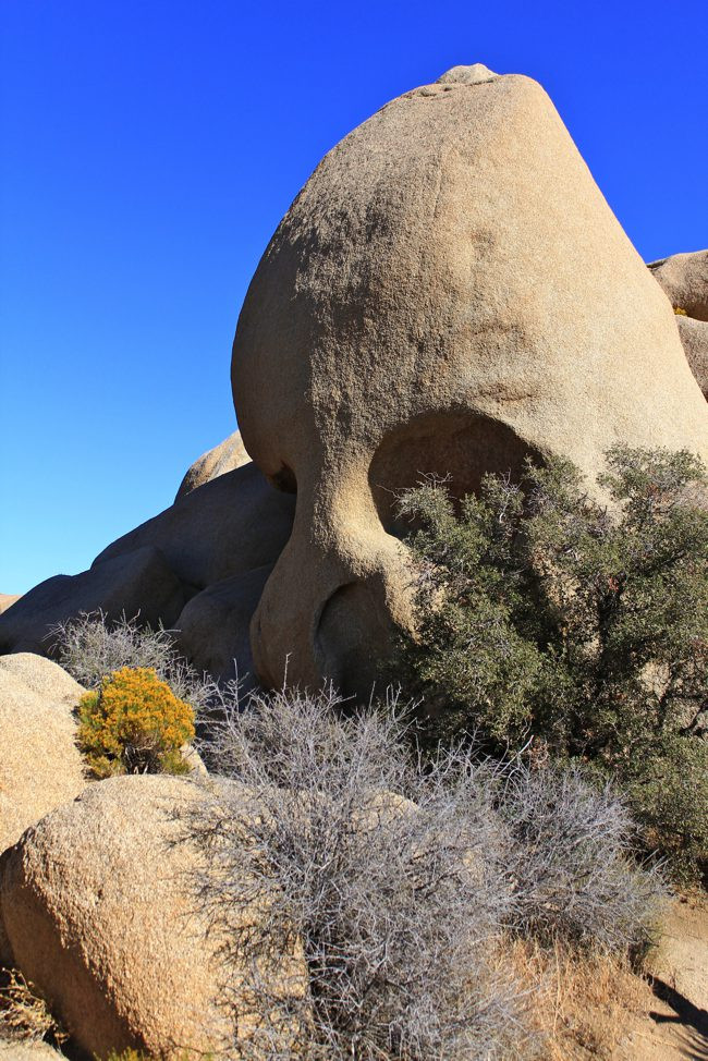 A closer view of Skull Rock in Joshua Tree National Park.