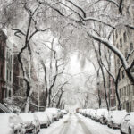 Snow covered trees and street