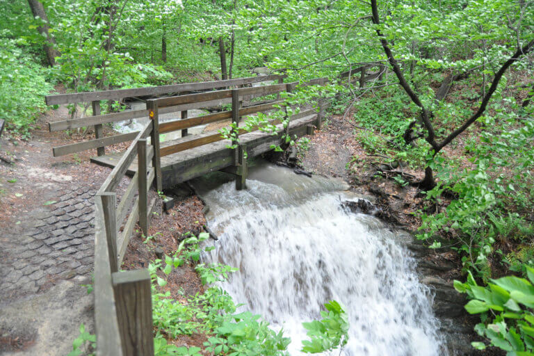 Springtime in a Starved Rock canyon, showcasing the park's geological beauty