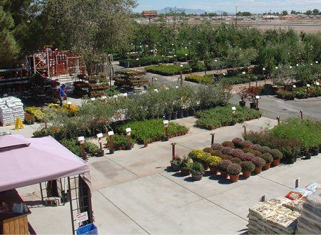 Star Nursery Pahrump Nevada Store Exterior