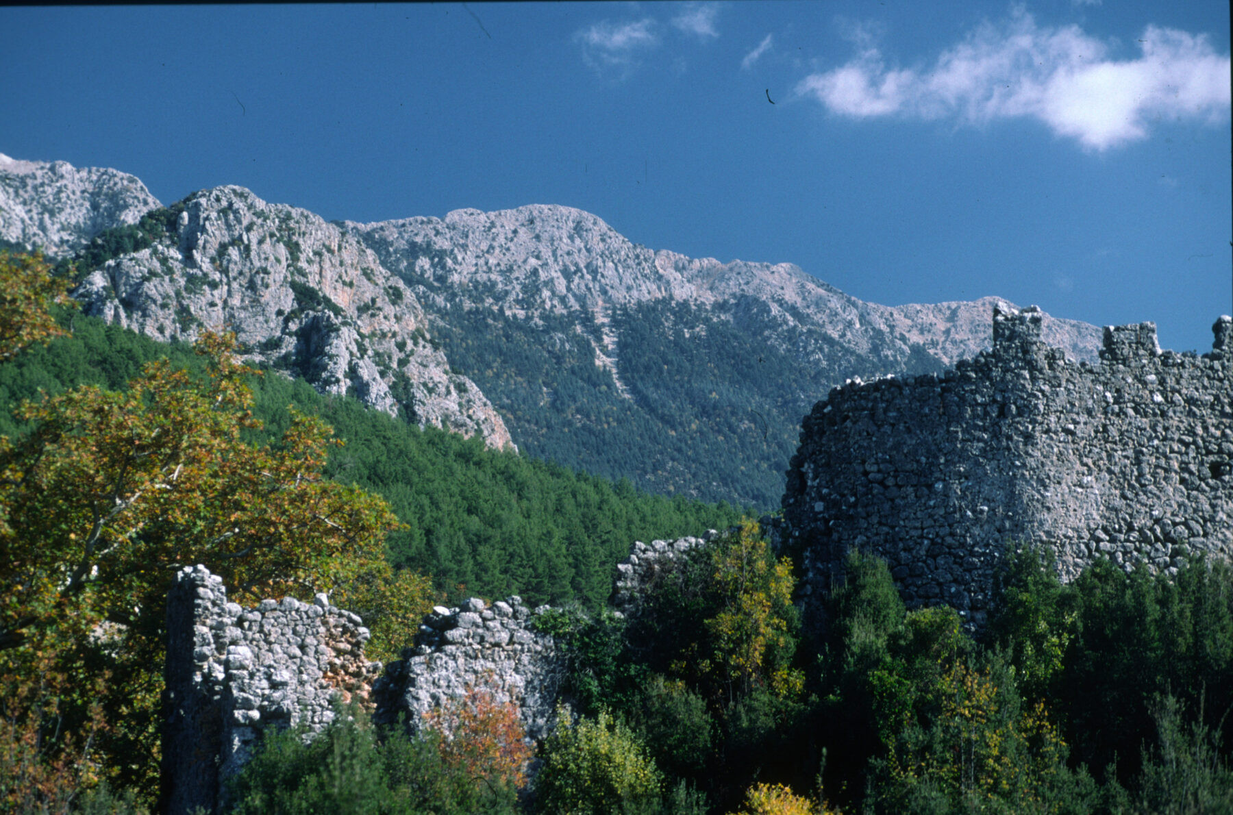 Open and sunny rock garden location