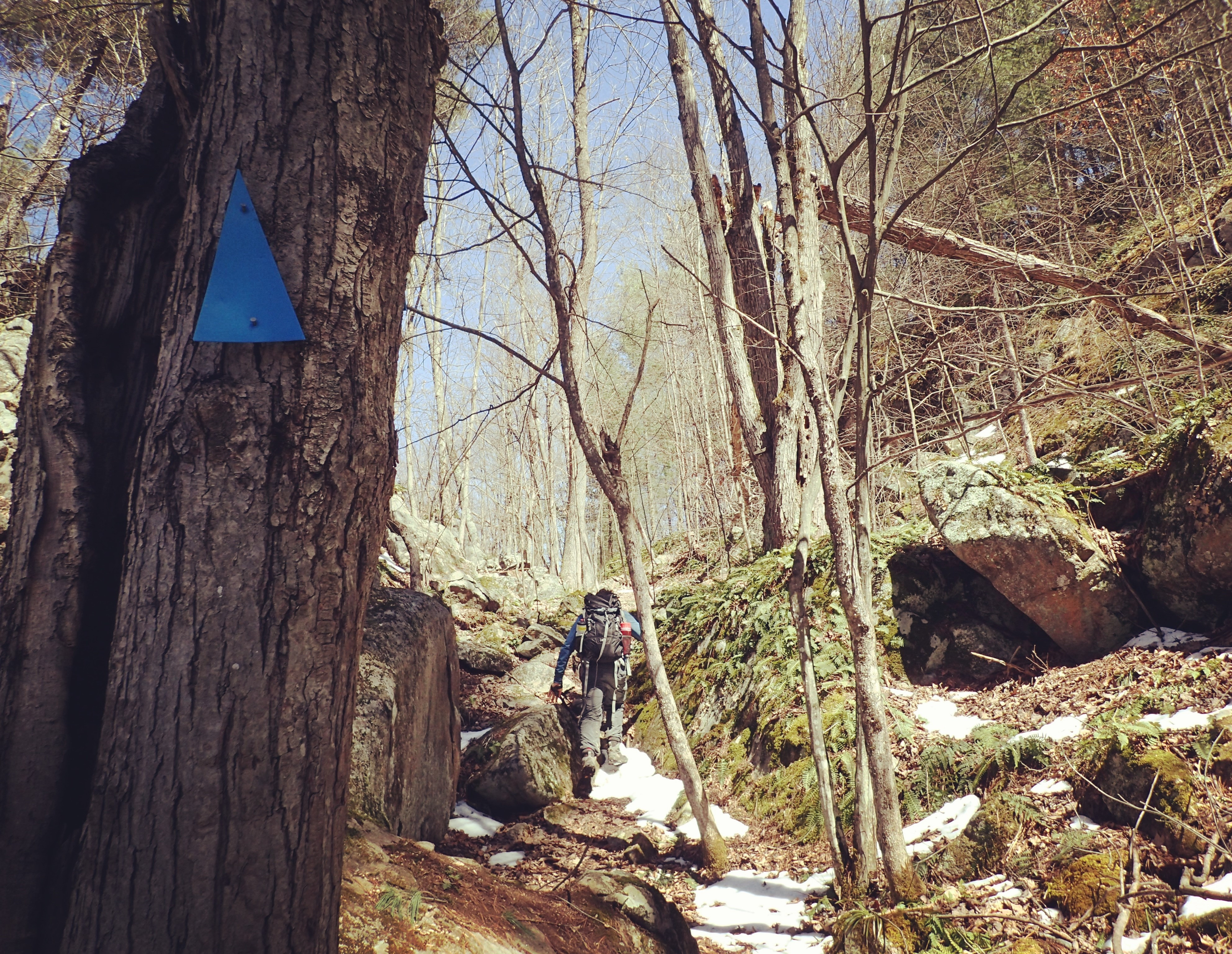 Discover the Beauty of Marble Rock Conservation Area: A Hiker’s Paradise