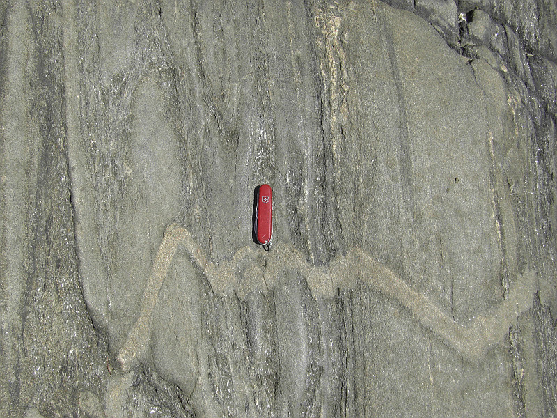 Folded granitic intrusion in the Manhattan Schist.