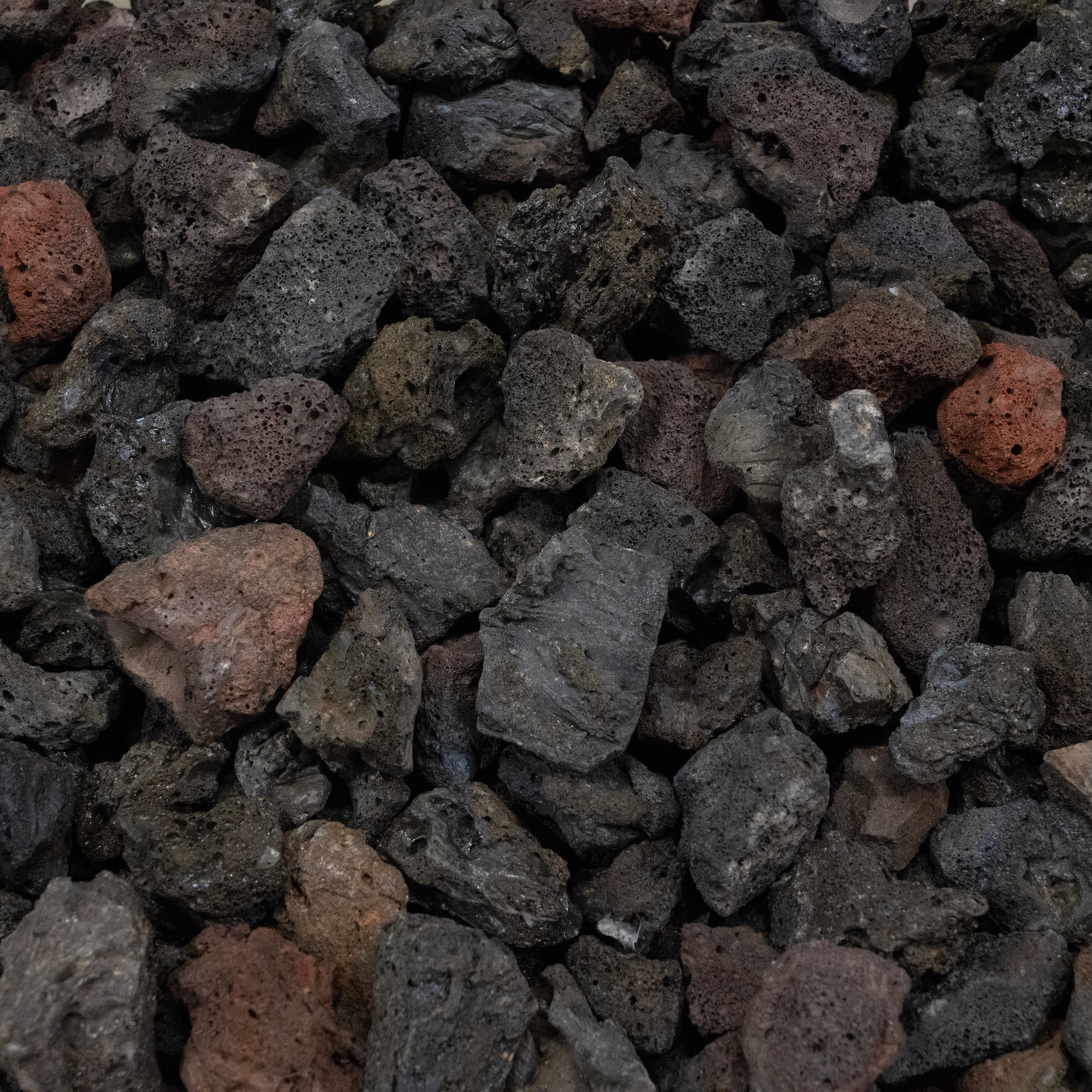 Black lava rock used in a garden bed