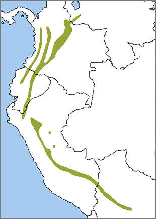 Andean Cock-of-the-rock range map, NatureServe
